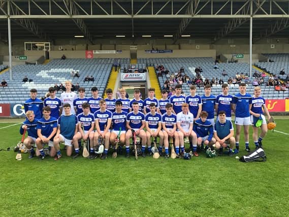 The Laois minor hurling team which took on Kilkenny.