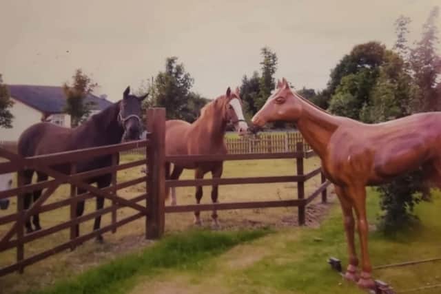 "I love the horse, there's no doubt. I think it's gorgeous. the two of them are," Kathy said.