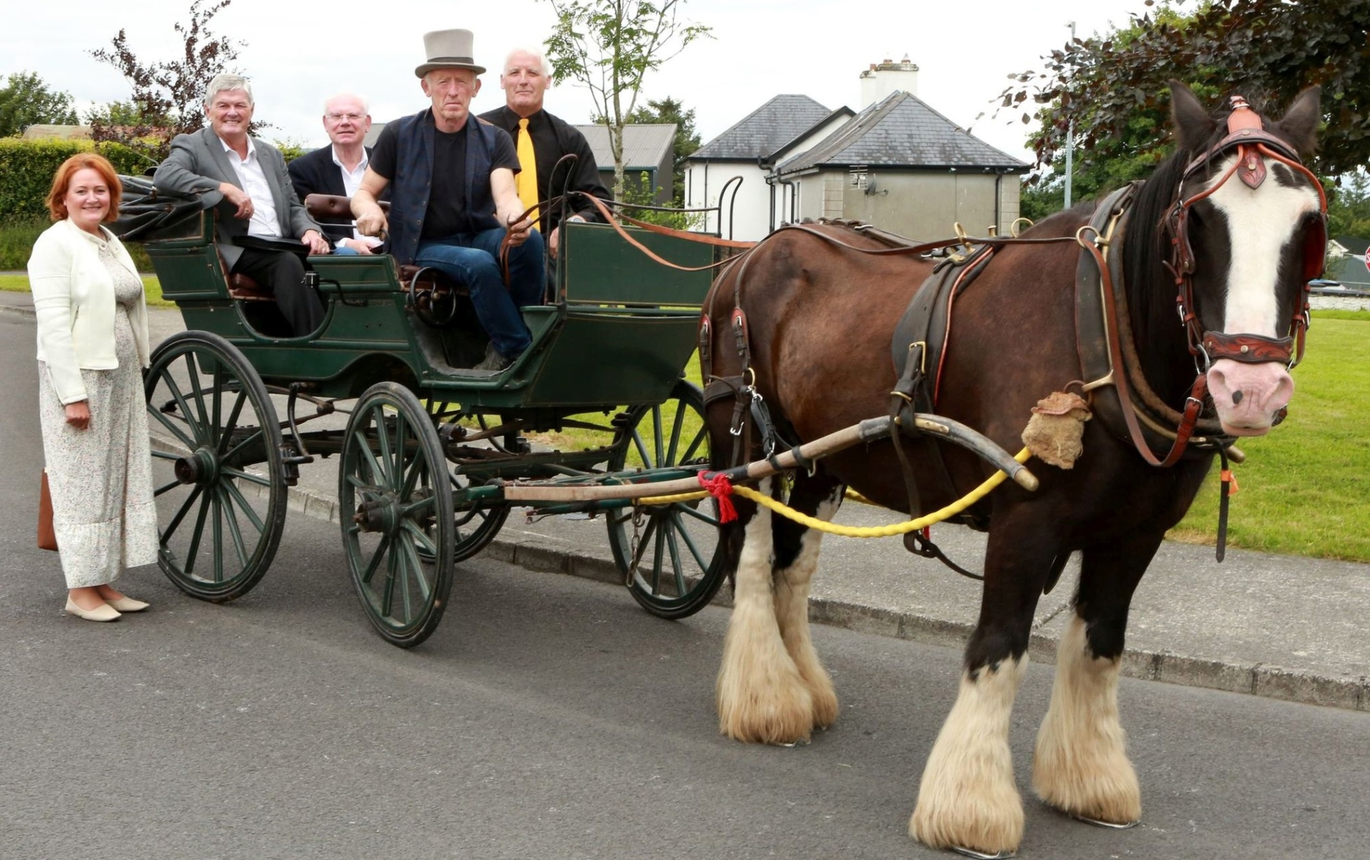 IN PICTURES: Laois Pride of Place judges tour Camross village