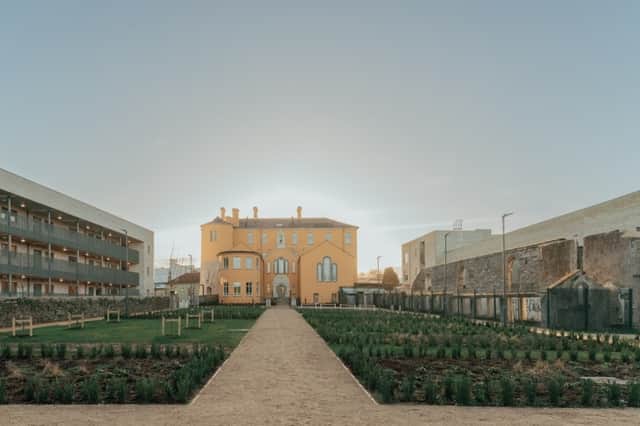 Allotment gardens at the rear of the convent