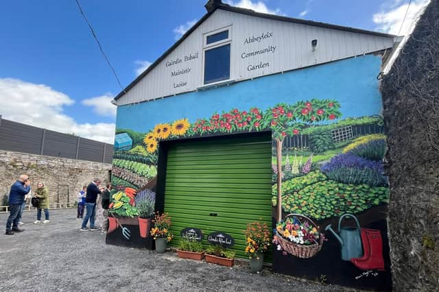 Marie Moylan’s recent mural at Abbeyleix Community Gardens.