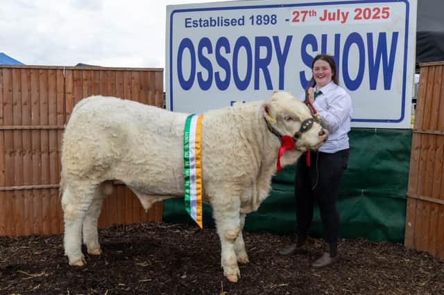 Ossory Show prizewinner in 2025.