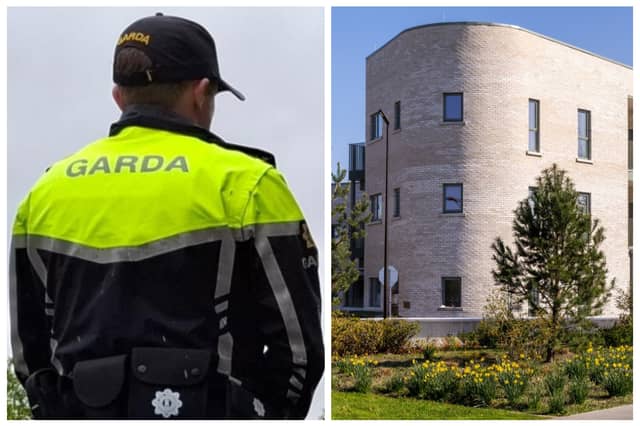 Laois businesses' views sought on how housing, crime and other issues are impacting their trading.