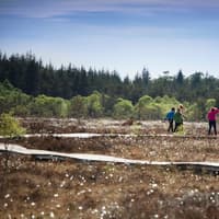 Famous bog in Laois gets an audio visual guide for smartphones