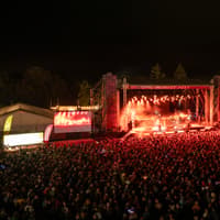 Laois solicitor says preparations 'ongoing' for Forest Fest 2027