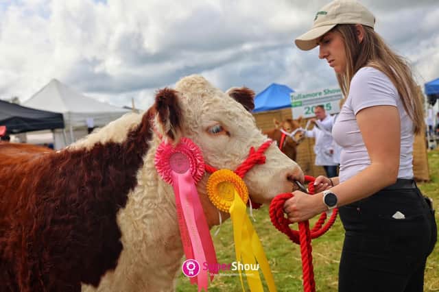 Tullamore Show and the FBD National Livestock Show take place at the Butterfield Estate, Blueball on Sunday, August 9