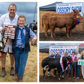 Pedigree cattle from around Ireland competed for prizes at the Ossory Agricultural Show at Coolfin, Rathdowney, Co Laois.