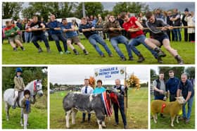 Scenes from the Clonaslee Show in 2024. 