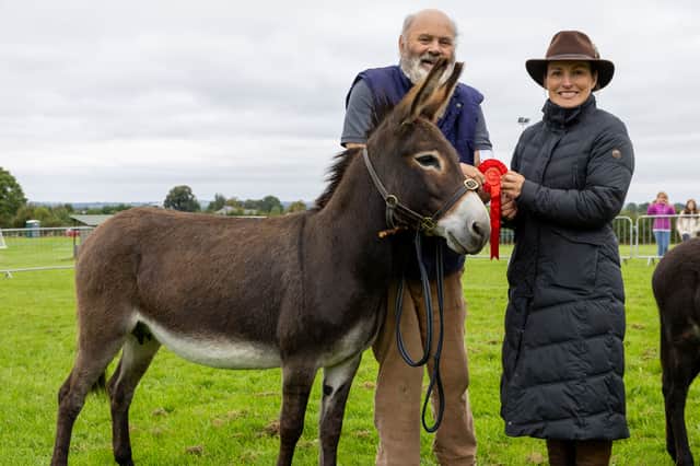 Hugh Deegan from Stradbally with his winner of the Best Donkey class pictured with judge Amy Jane Fitzgerald at the 70th annual Clonaslee Show in 2024.