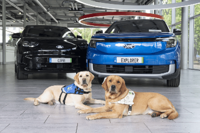 Drive for your Community initiative in Portlaoise gives local drivers the opportunity to support Irish Guide Dogs.