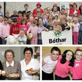 Memory Lane photos from Laois in 2005.
