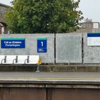 Man damaged suitcase he took from train at Laois station