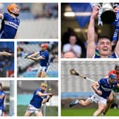 Laois' seven representives 