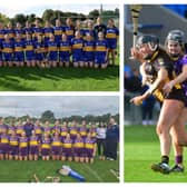 Busy day of Laois Camogie club action