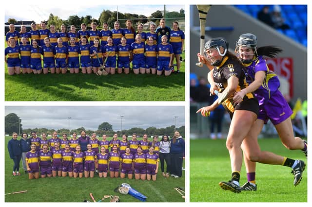 Busy day of Laois Camogie club action