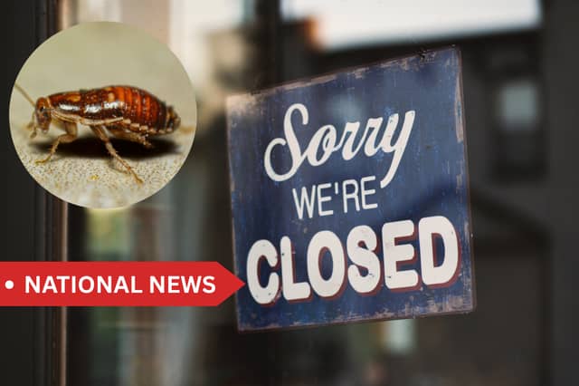 12 food businesses forced to close last month