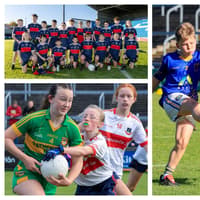 In Pictures: Thrills, spills and skills at Laois schools GAA féile in Portlaoise