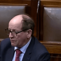 89 year-old Laois woman's cold and damp home raised in the Dáil