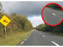 Cracks on the N80 Portlaoise to Mountmellick road over Clonreher bog.