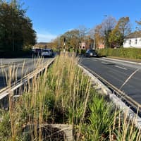 Portlaoise roadworks starting for new €140,000 rainwater garden