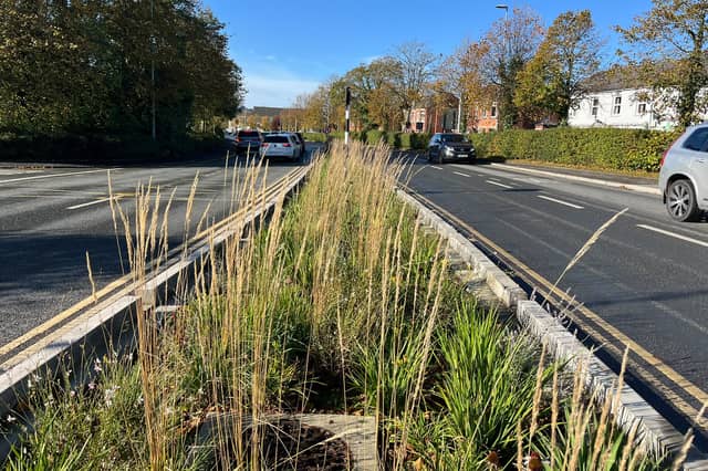 A rainwater garden in the centre of JFL Avenue, Portlaoise.