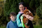 Teddy Boo a Toy Poodle from Errill is pictured with Megan Fusco and her son after being crowned South Leinster provincial winner Petmania Puppy of the Year 2026