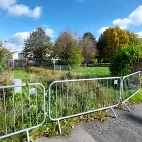 The damaged lawn and hedge at Rossvale, Portlaoise, caused as access was gained to public services during construction on a new estate across the road, Cedar Woods.