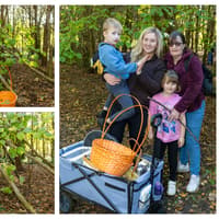 PICTURES: Laois families connect with nature during climate action festival