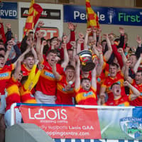 PICK YOUR TEAM: Who makes the 2026 Leinster Express Laois SHC Team of the Year?