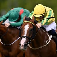 Laois teenager chasing 2026 Apprentice Jockey Championship glory at the Curragh