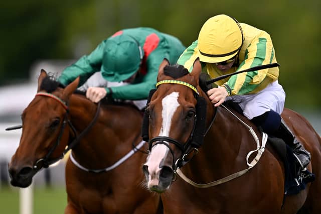 Krasimir, right, with Reese Holohan up, on their way to winning the Irish Stallion Farms EBF Sovereign Path Handicap during day one of the Irish Champions Festival at Leopardstown Racecourse in Dublin.