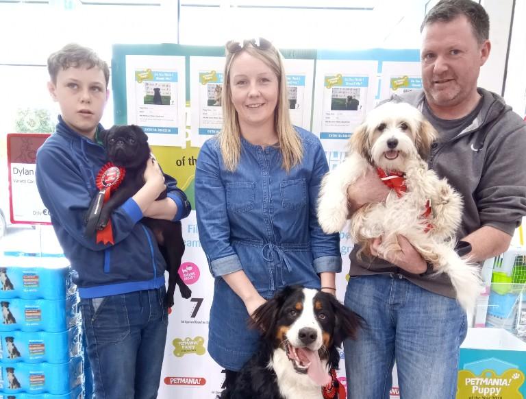 petmania puppy competition