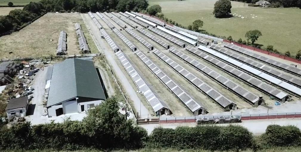 Covid 19 Testing Operation Underway At Laois Mink Farm Leinster Express