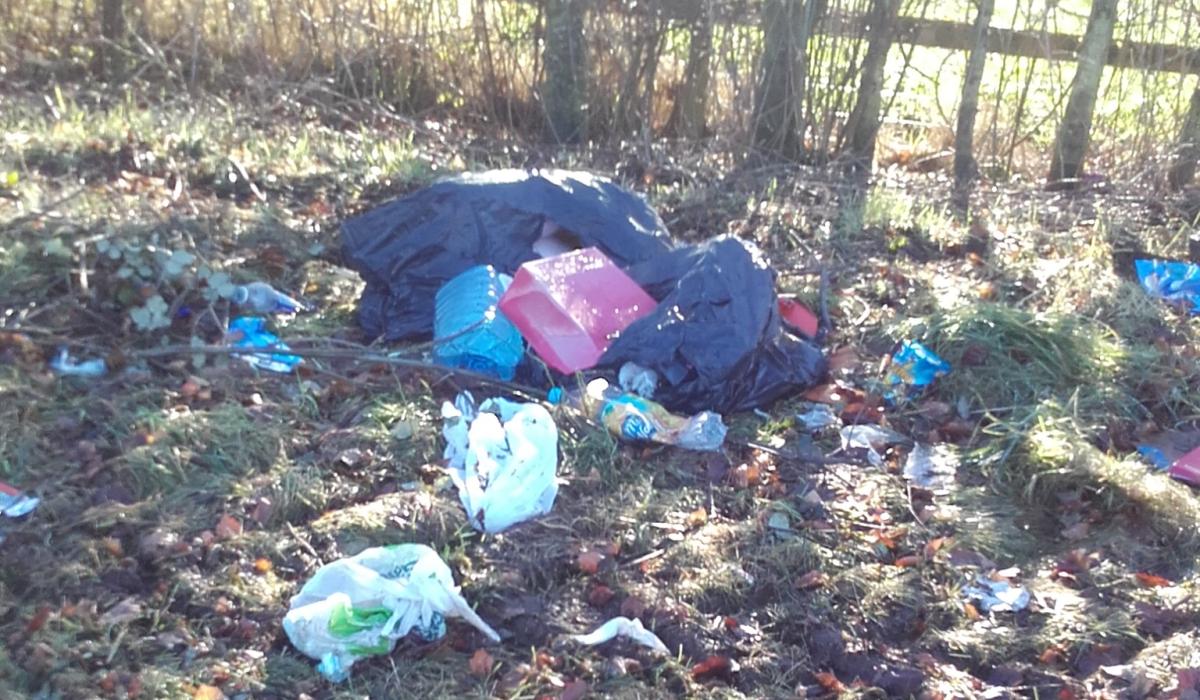 Three Laois housing estates illegally dumped 100 tonnes of waste