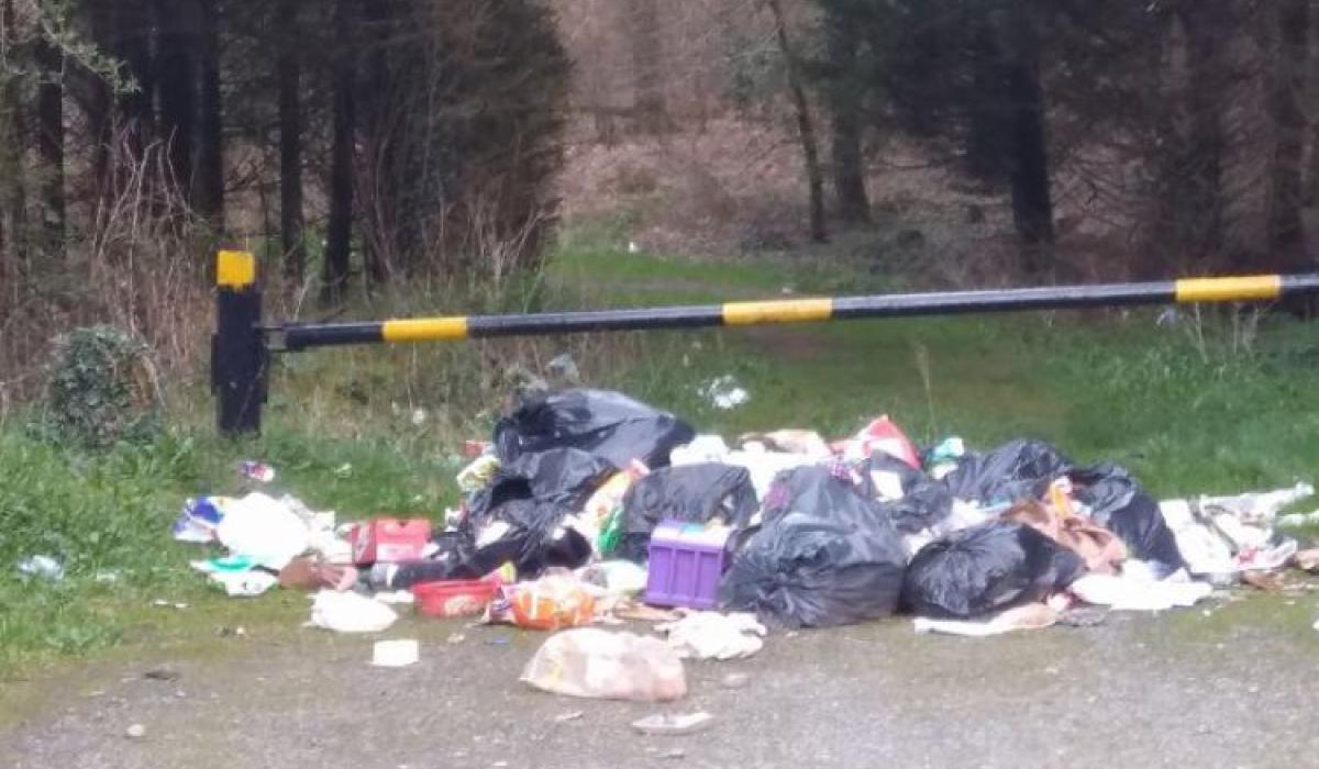 266 tonnes of illegal waste collected in Laois this year Laois Live