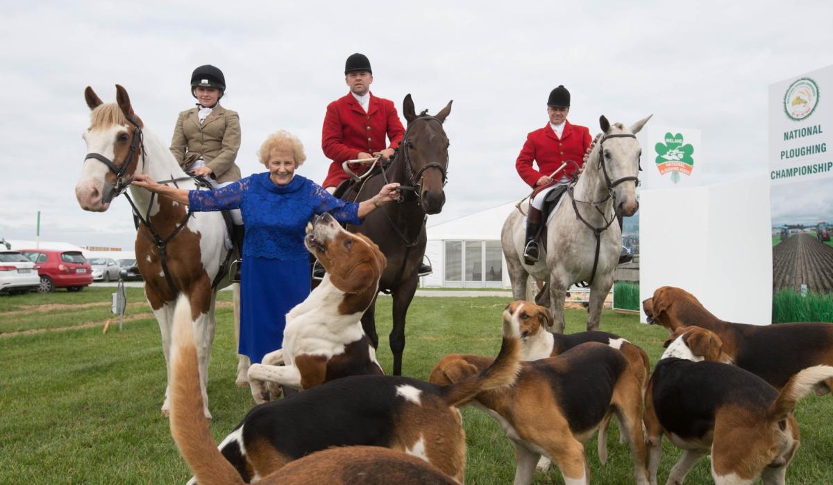 Ticket information and opening hours for the National Ploughing