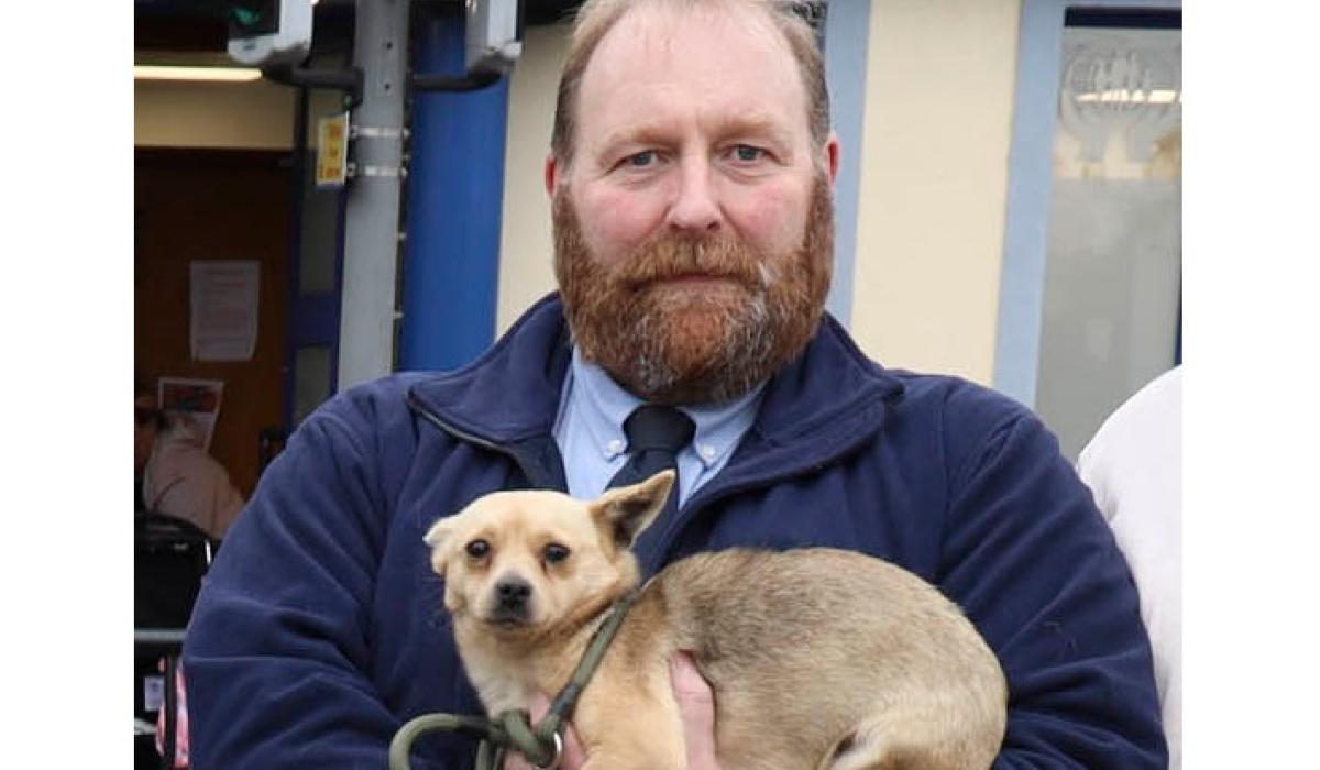 Laois dog warden urges public to report strays and make complaints