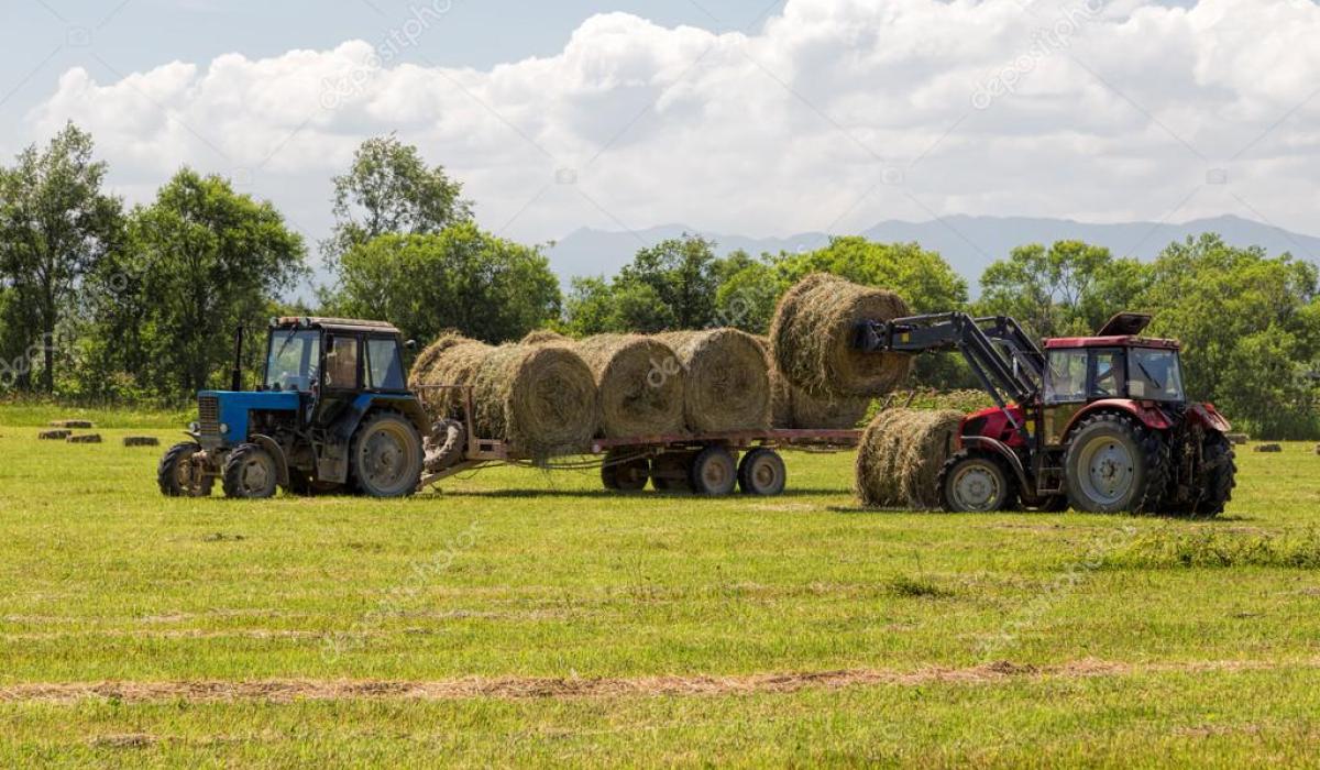 Fallen straw on road blamed for Laois Tidiest town losing vital