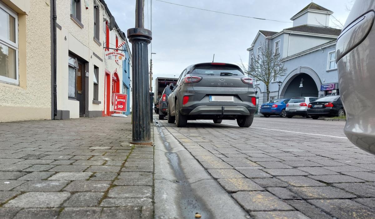 Dynamic Hse Takes Over Running Of Droimnín Nursing Home, Co Laois Abstract in HD