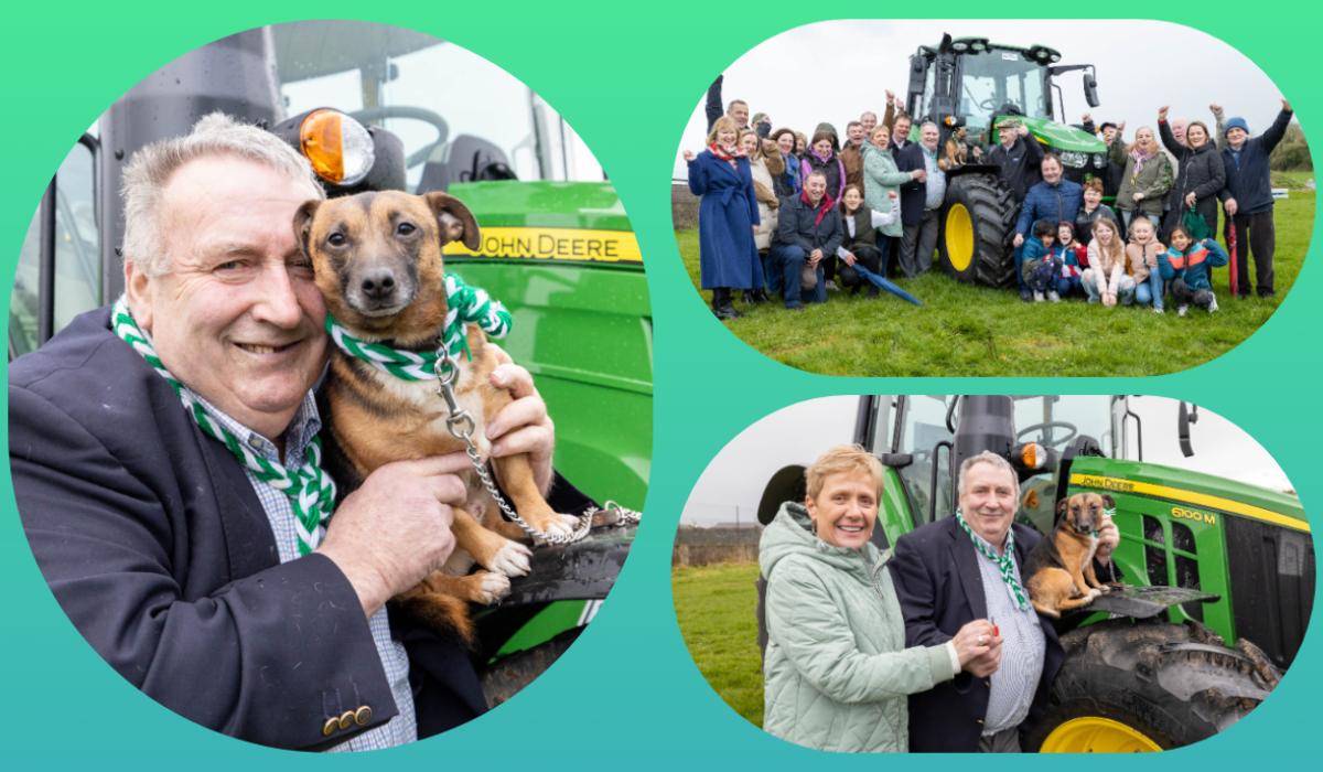 In Pictures Even the Limerick dogs are winners Laois community gives