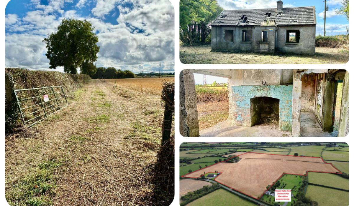 PICTURES Derelict Emo cottage and prime 32 acres of Laois farmland on