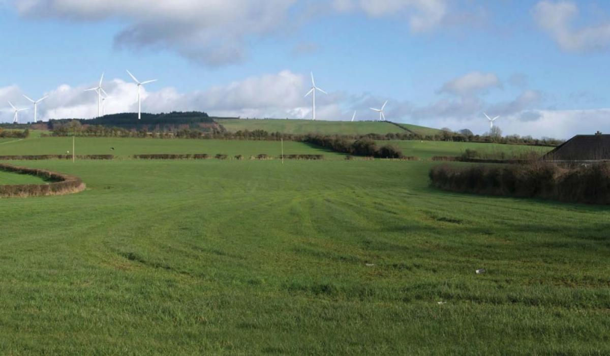 Laois group takes Coillte windfarm plan to European Court again