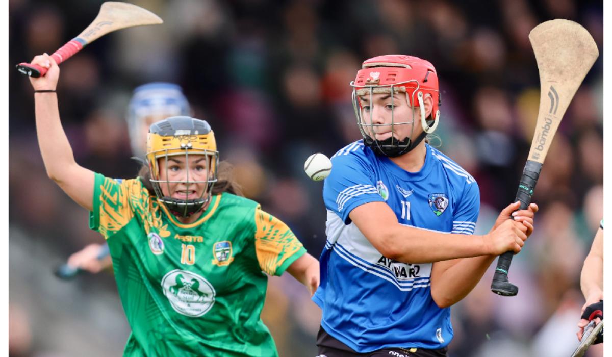 Camross crowned Leinster champions for the first time since 2001 as Keenan runs riot against Na Fianna