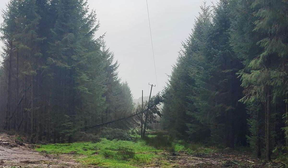 Storm Bram brings down electricity cables in Laois