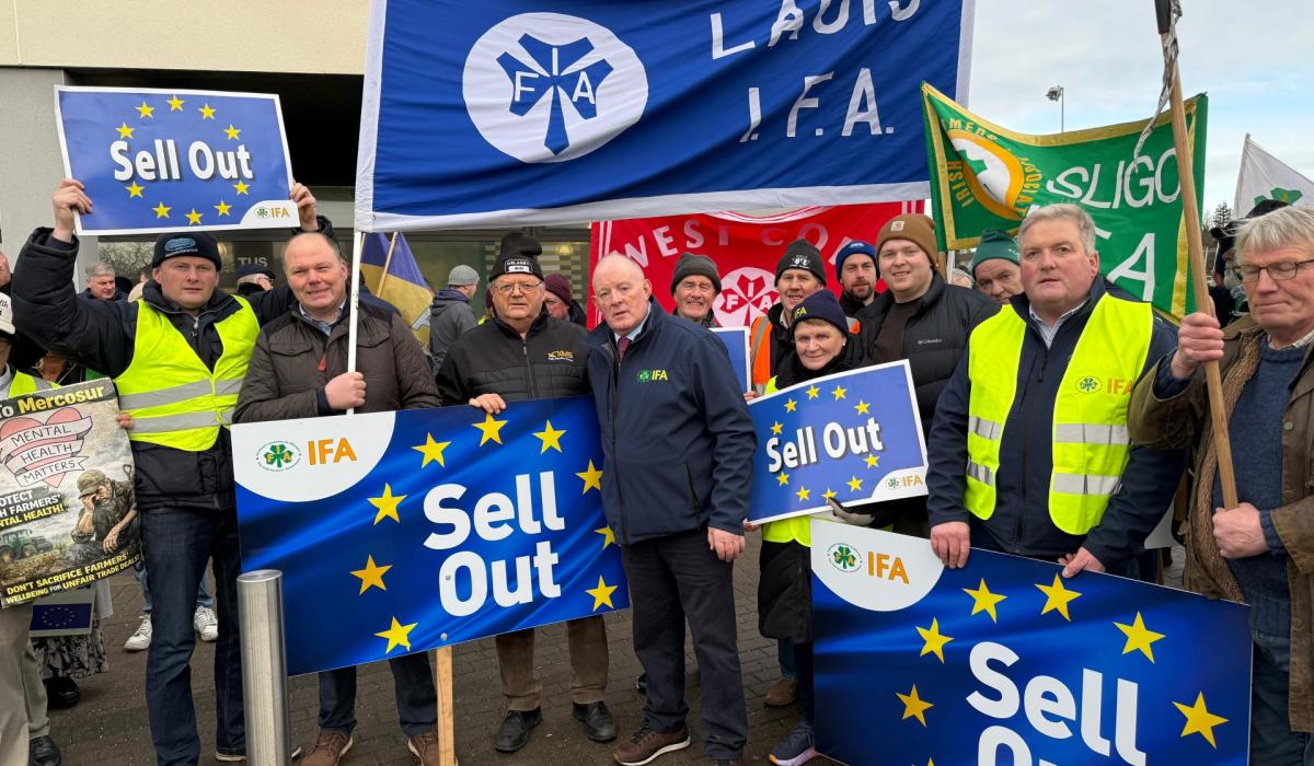 Laois representative insists Government needs to "get its act together" on Mercosur