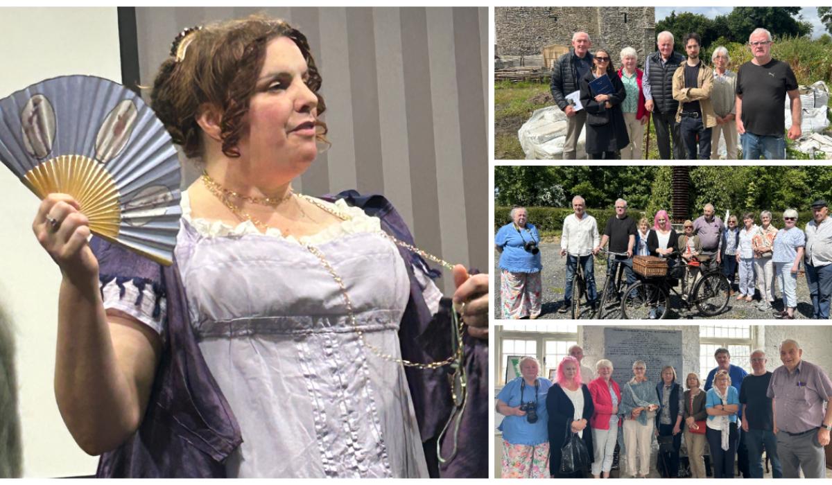 Laois Heritage buffs reflect on busy year and look forward to lots more fun in 2026