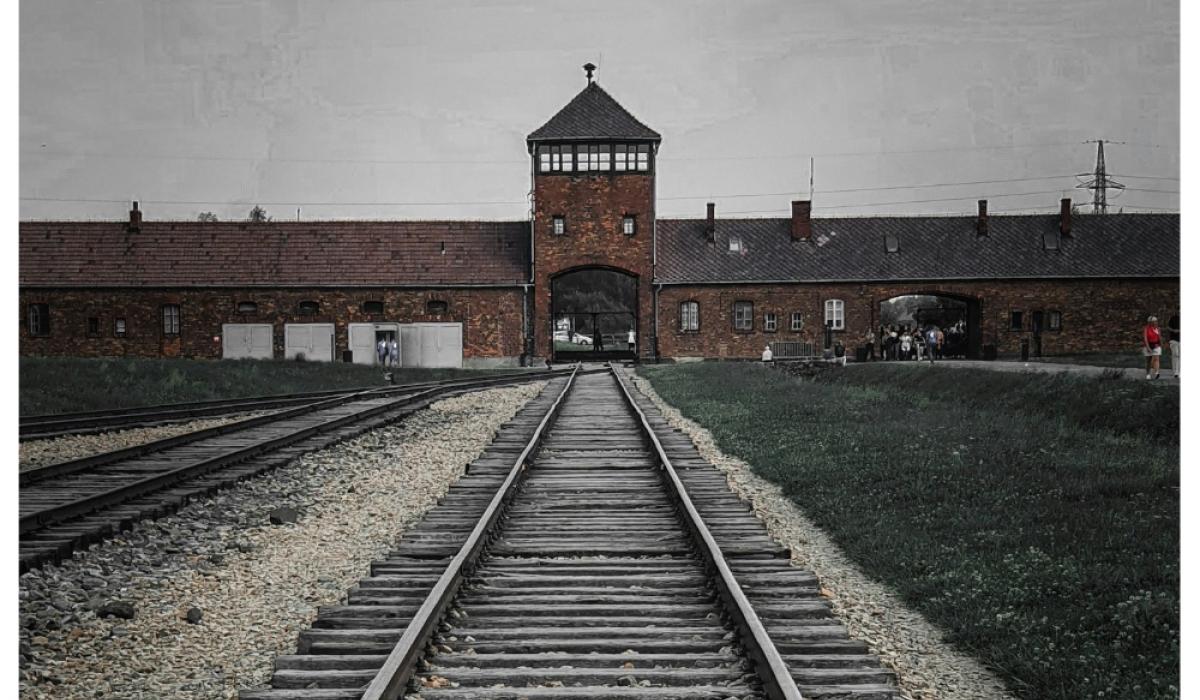 One in 10 Irish adults believe the Holocaust never happened, survey finds
