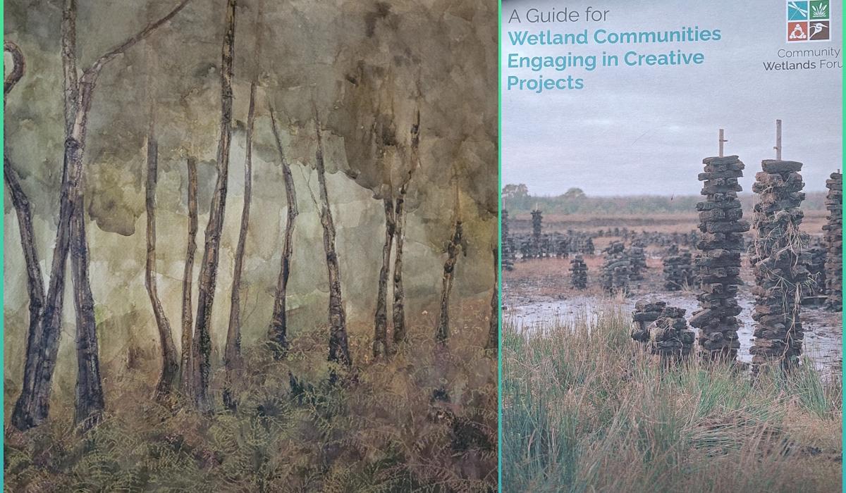 Laois artists feature in new guide on Ireland's wetlands