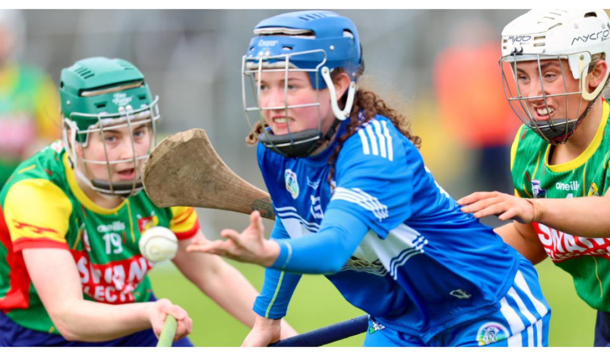 Laois Camogie hold on against Carlow to record second win in Division 2