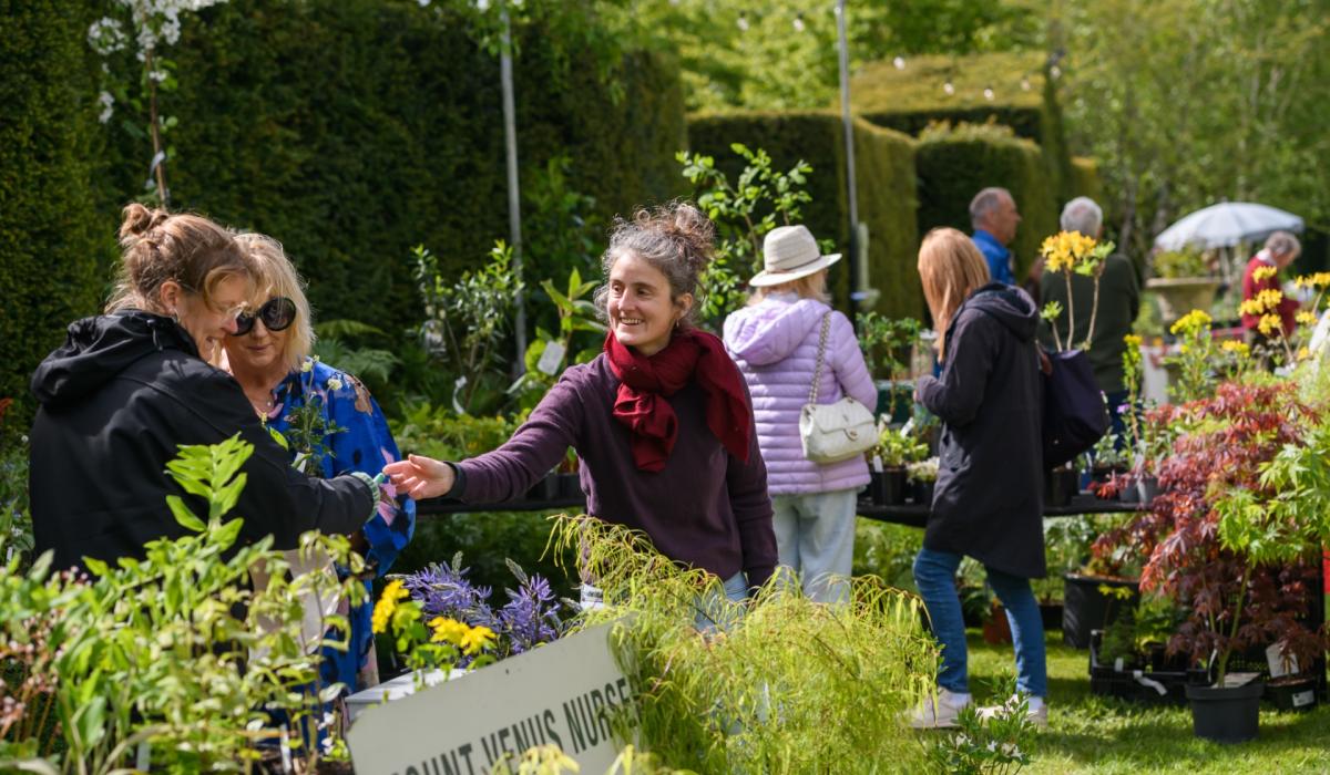 Food, art, gardening and more at Ballintubbert House festival in Laois